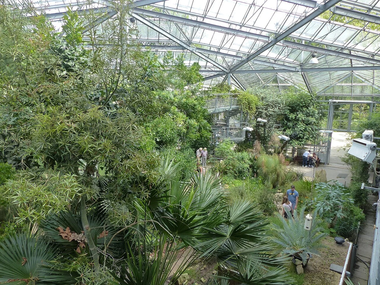 Hortus Botanicus Amsterdam